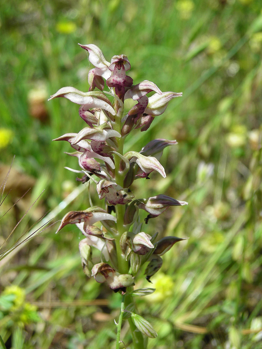 omaggio alla murgia materana